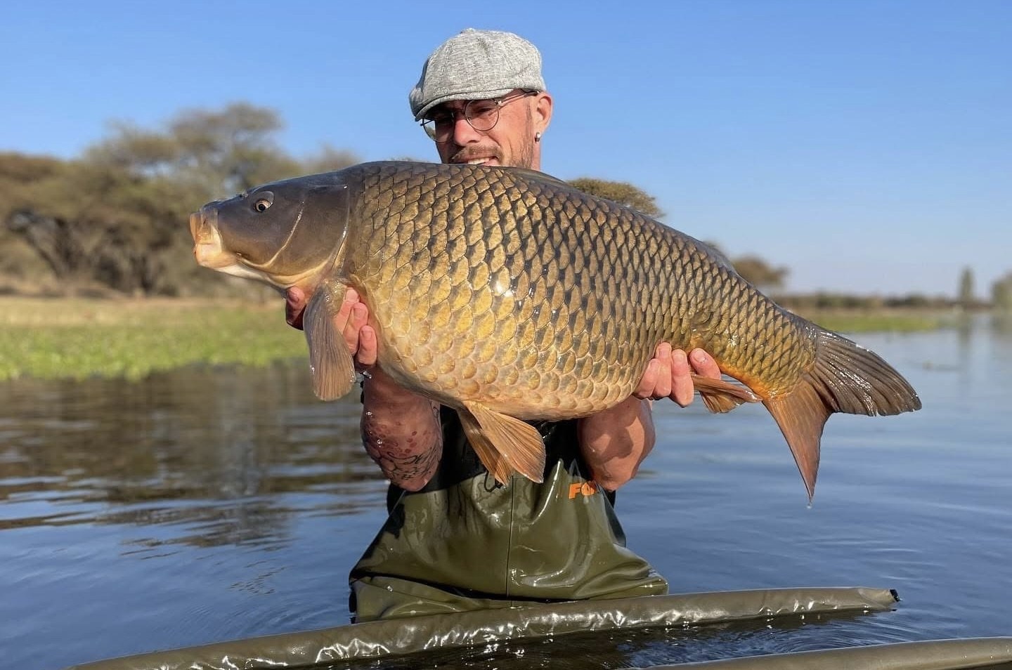 Angler in a flat cap holding a huge common carp in the shallows
