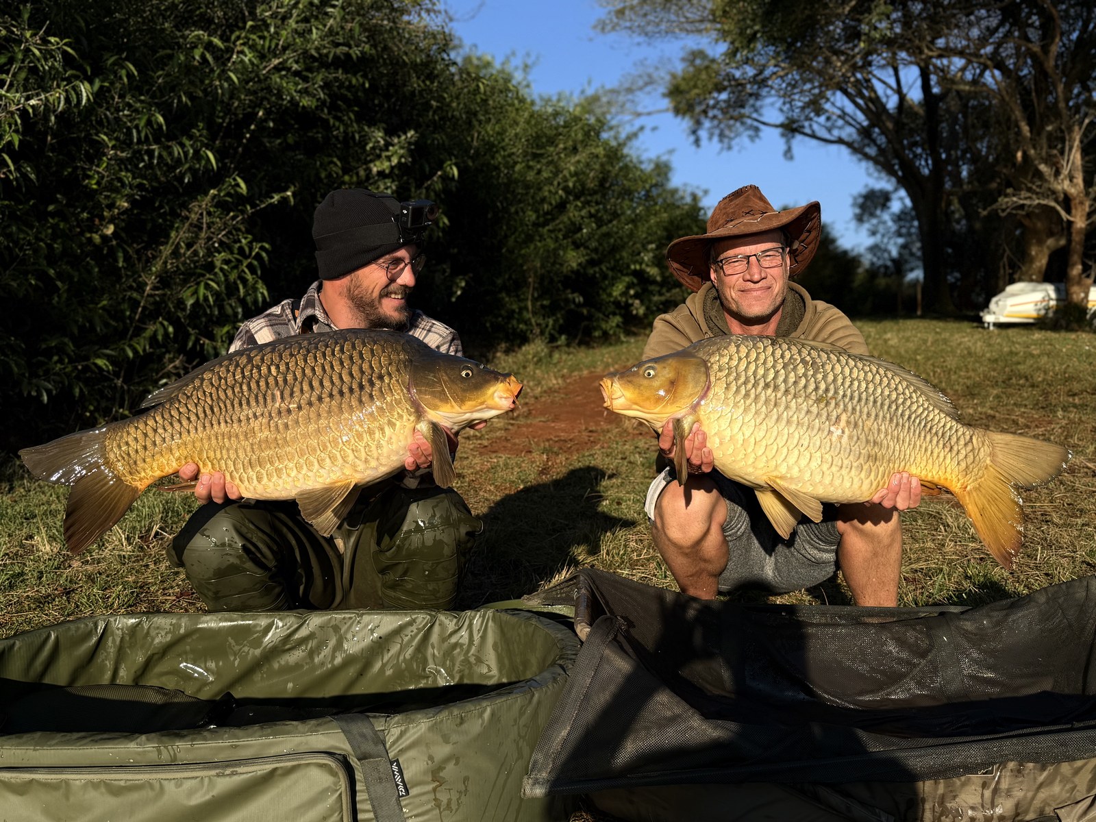 Two anglers kneeling with two large common carp