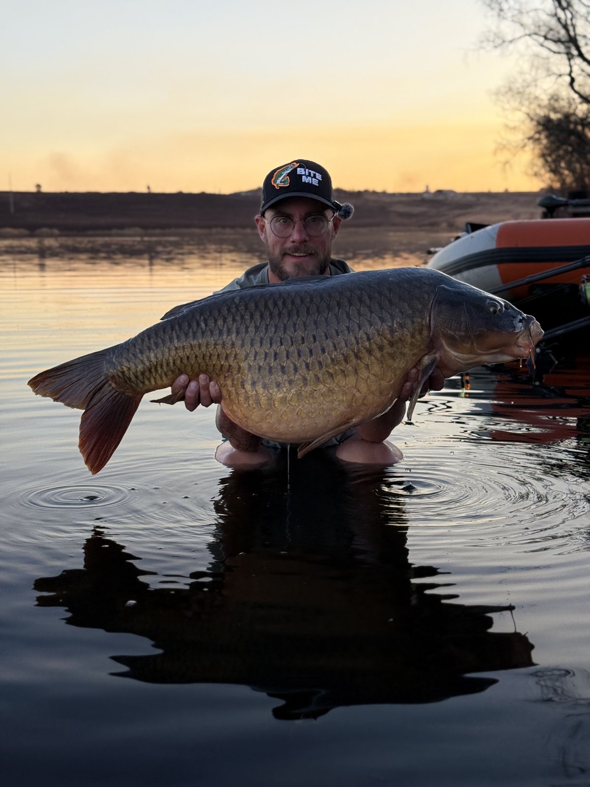 The 17,6 kg common held in the water at sunset