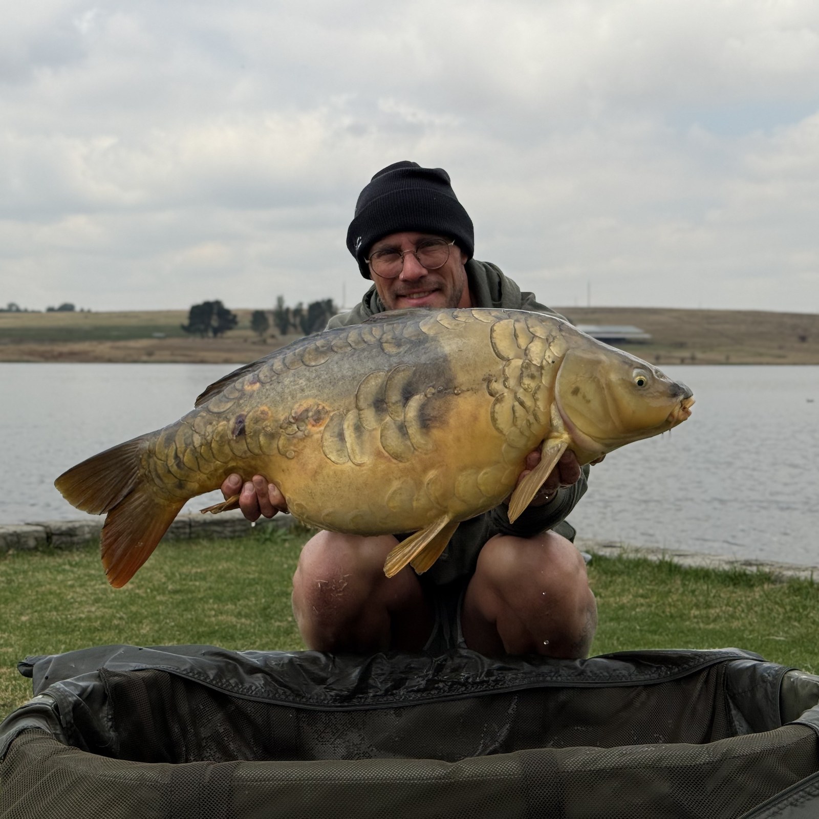 Angler holding a huge scaled South African common carp