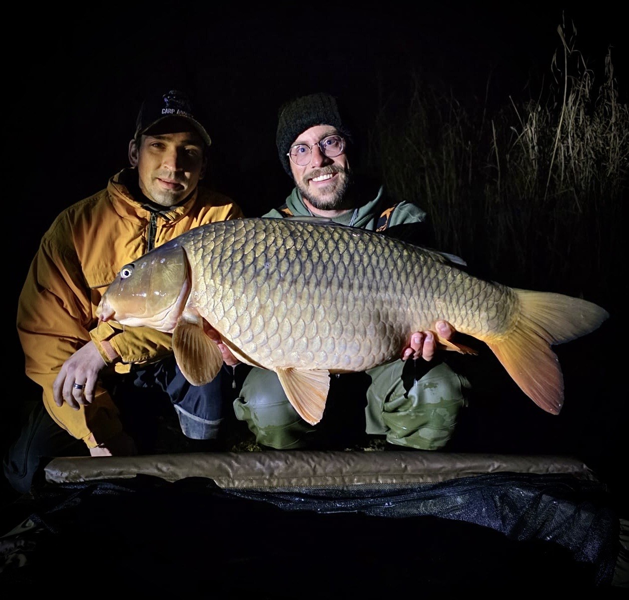 Two friends holding a large common carp at night