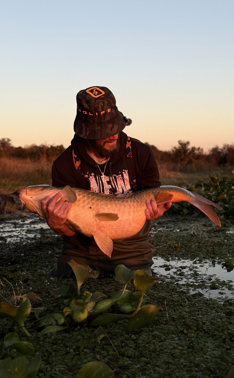 The Roodekoppies 40 in the shallows