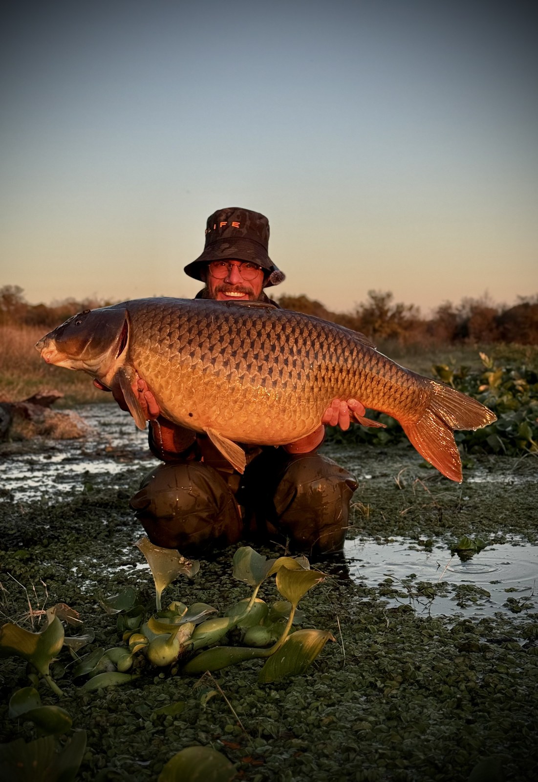 Large Roodekoppies common carp held in warm African light