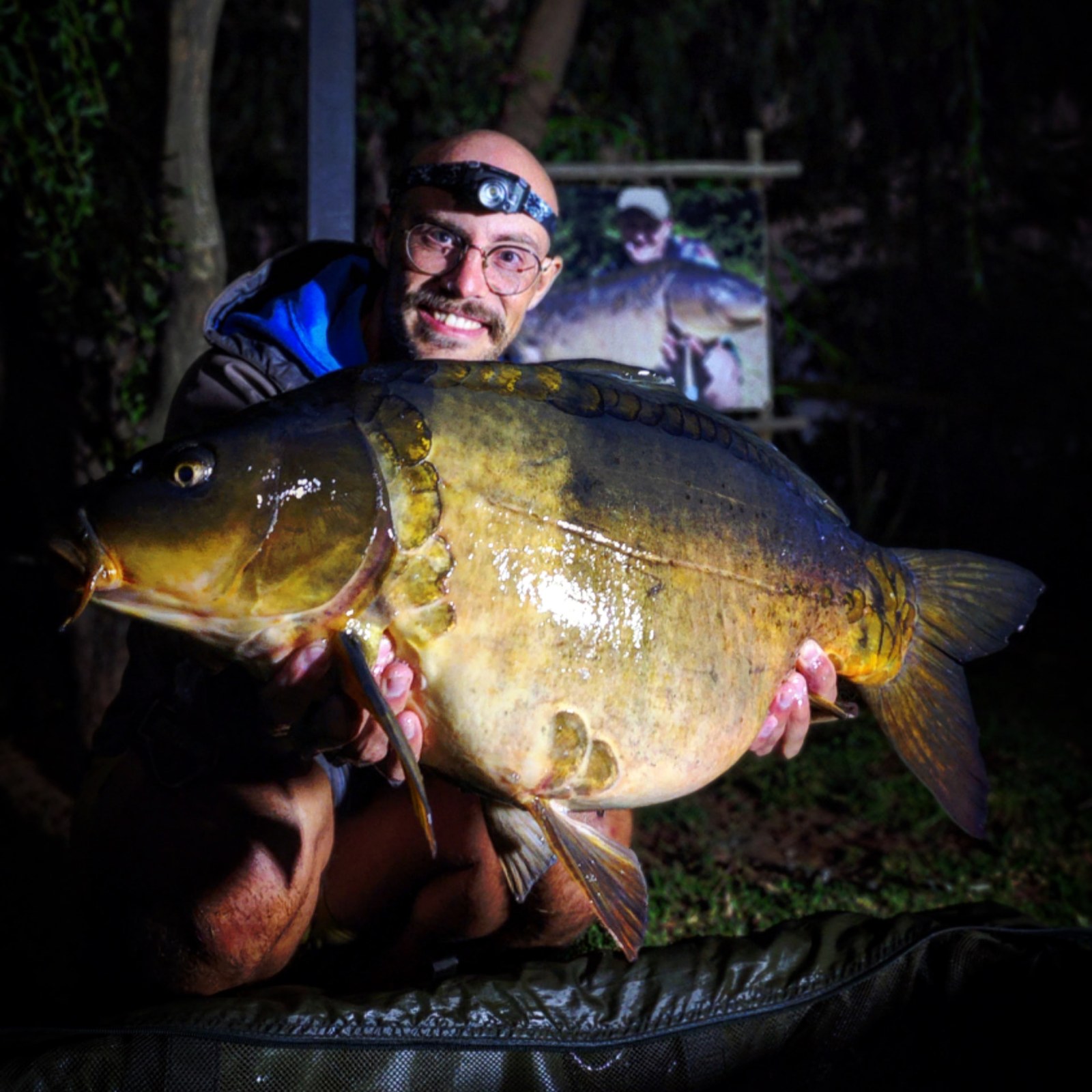 A mirror carp held at night under the headlamp