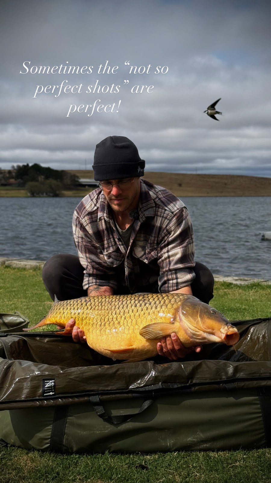 Angler with a golden common carp on the cradle at a lake