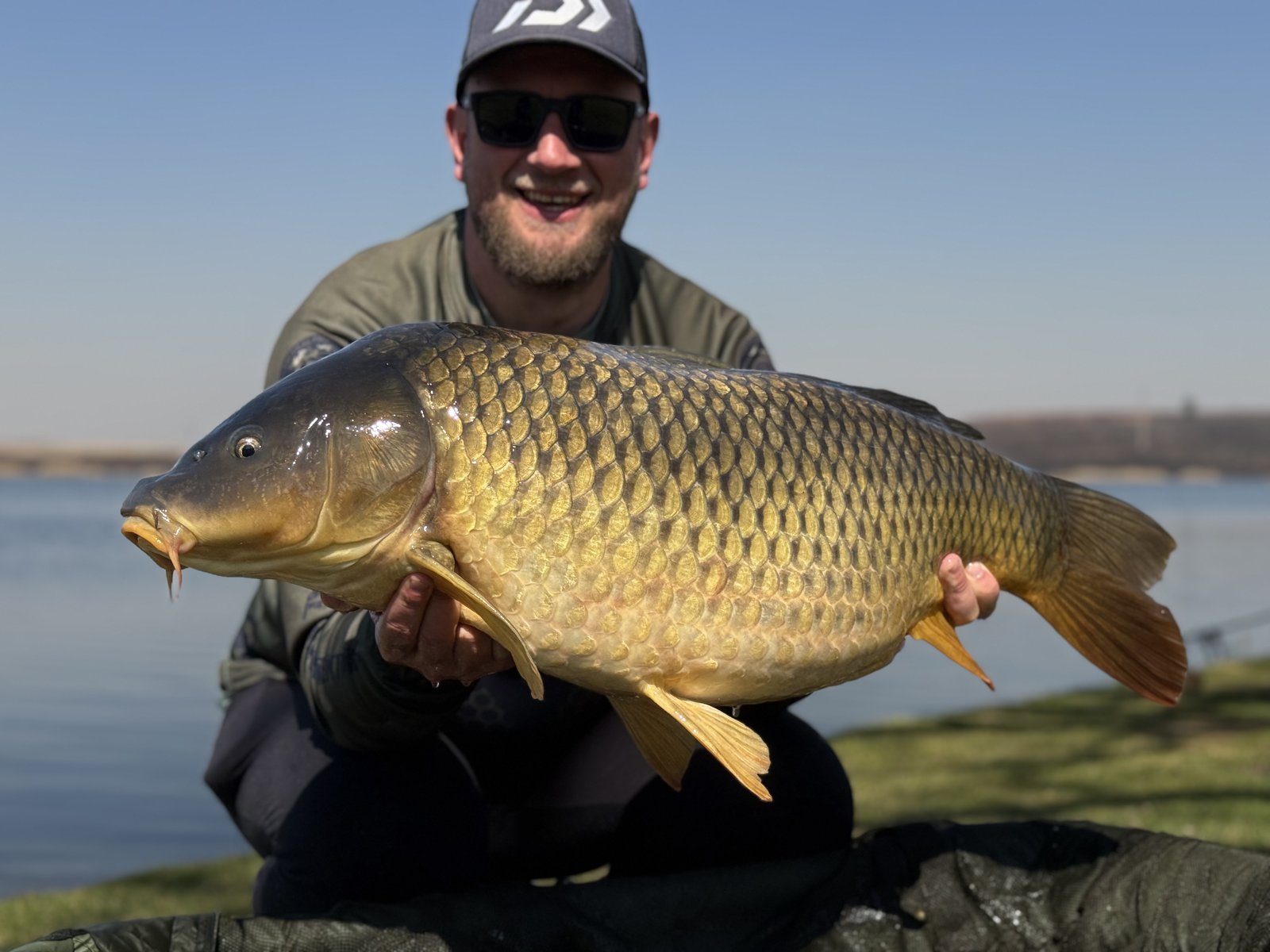 Angler holding a golden common carp