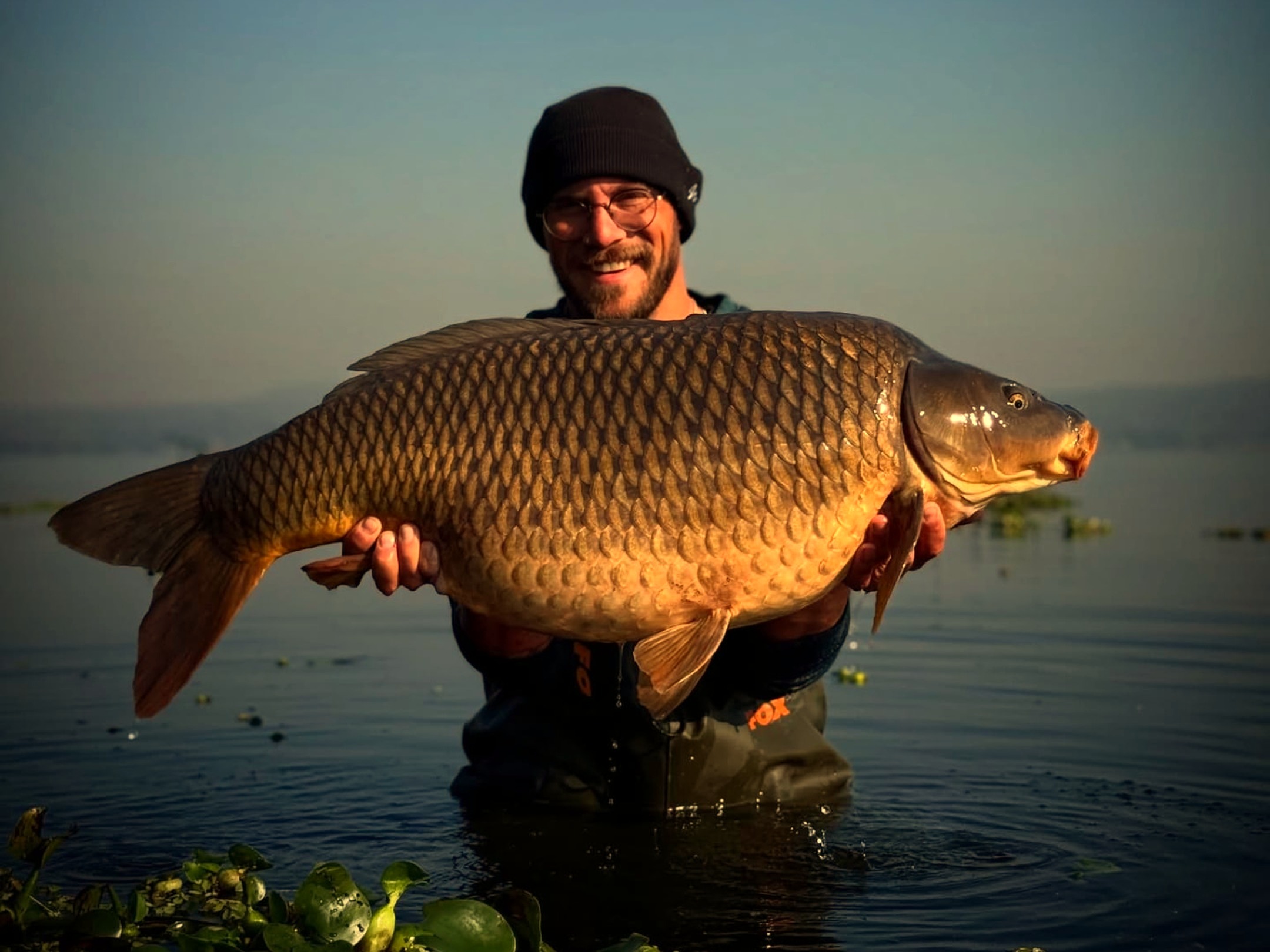 Juan Versveld holding a large specimen carp at sunrise